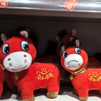 线上火热线下平淡 记者实探“哭哭马”郑州市场销售现状