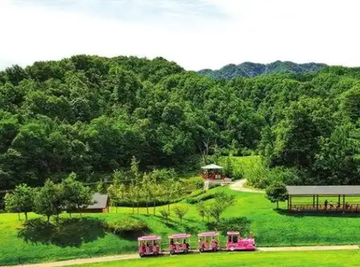 把群众的“小事”办好办实丨履职尽责这一年