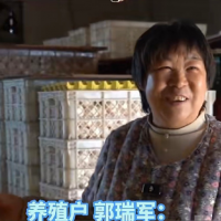 手机报·早报丨暴雪+道路结冰！河南双预警齐发；明日开抢！河南新春消费券来了