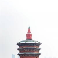 冰封玫瑰扮太行