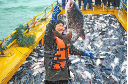 陆浑湖开渔啦！