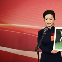 点亮夜游+非遗出海+数字龙门！三位人大代表为河南文旅建言献策