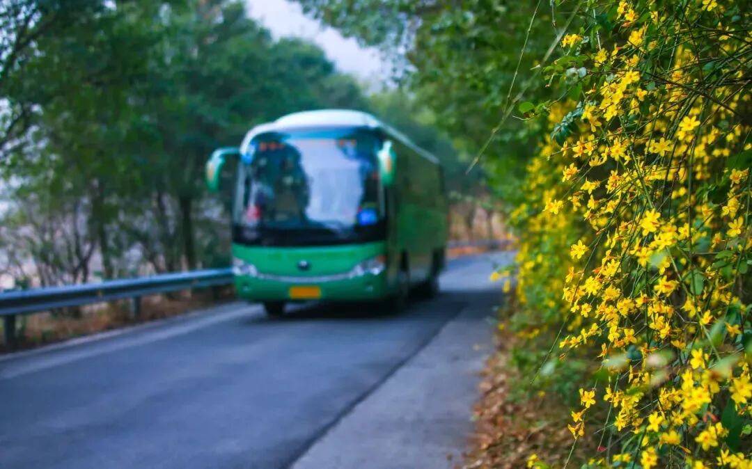 1772013624185.jpg 640.jpg