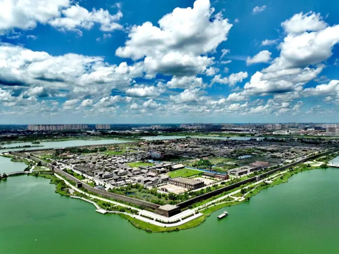 1772096025315.jpg 99.jpg