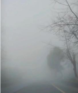 6省国省干线45个路段因雾关闭收费站