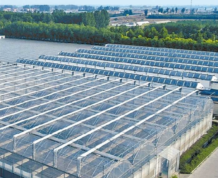 全国两会AB面丨全国人大代表孙中岭： 看孙庄村的蝶变之路