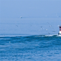 南水北上 每一滴都盛满守护