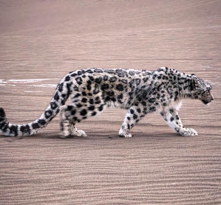 1774220152738.png QQ截图20260323045057.png