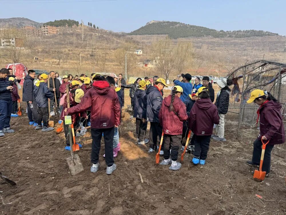 1774429187101.jpg 3896-15262ea6103684f0633437d988e79a92.jpg