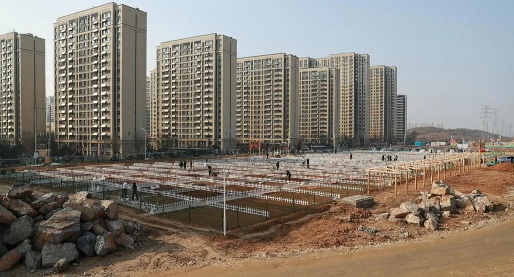 1774429197491.jpg 50cd-e6de8cbcf71e0201a0ac54868ad05c5d.jpg