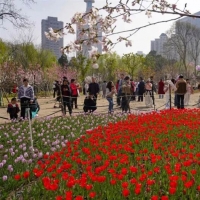 手机报·早报丨国内金价急跌 金店柜台又挤满了人；上海警方通报男子当街殴打妻子：已被刑拘