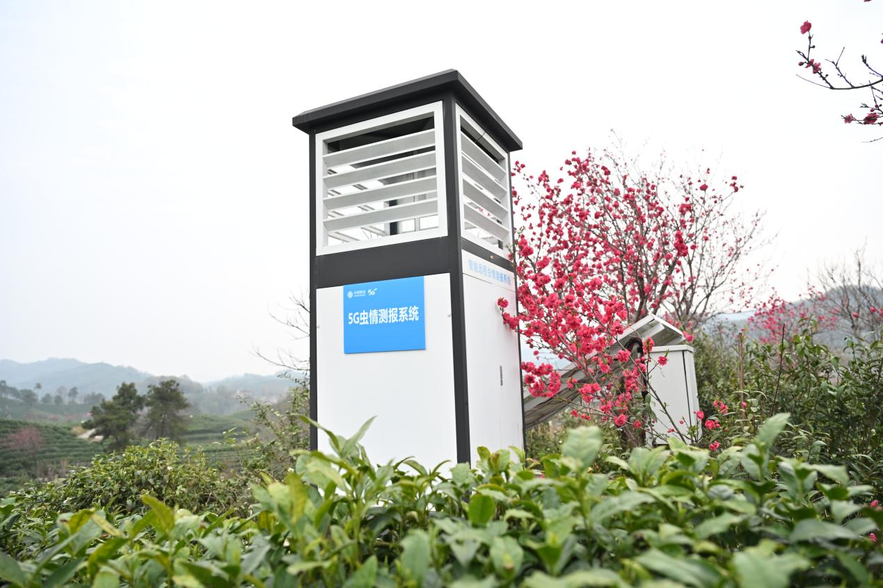 1774928319448.png 图片3.png