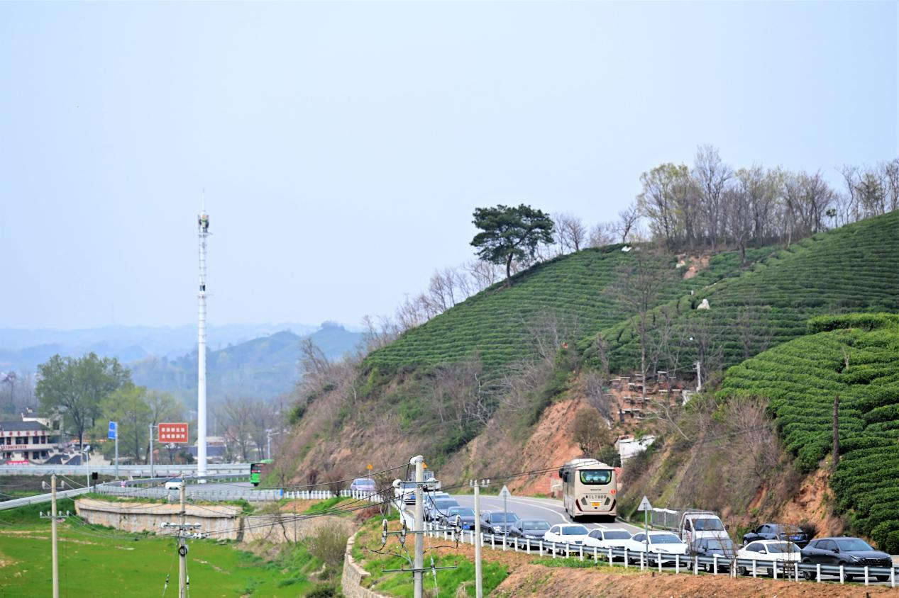 1774928466314.png 图片7.png