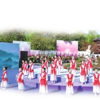 一路繁花向洛阳 第43届中国洛阳牡丹文化节开幕