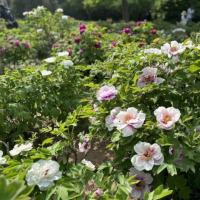 手机报·早报丨多地推行“公共停车位全年免费开放”；重庆南岸区一飞行器坠落：两人受伤