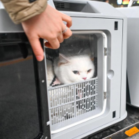 手机报·早报丨《河南省献血条例》自6月1日起正式施行；霍尔木兹海峡已再次关闭