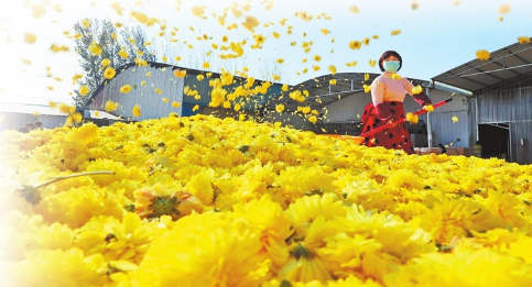 传承篇 新农人的“守”与“变”