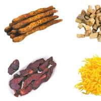 三千年怀药的新生 ——探寻焦作四大怀药的产业跃迁之路