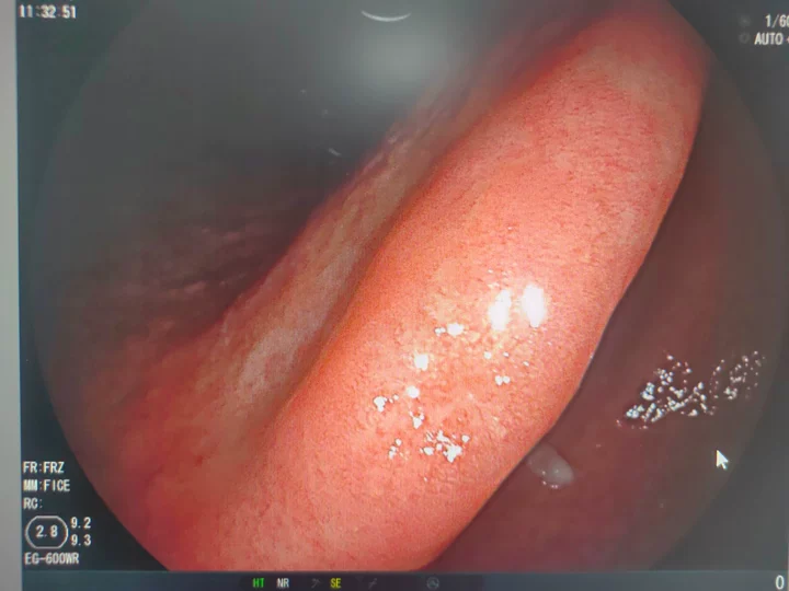 1776324465338.png 640 (1).png