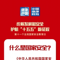 什么是国家安全？| 全民国家安全教育日