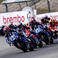 手机报·早报丨霍尔木兹海峡开放，国际原油价格暴跌；杭州通报“诊所用1个针头给多人采血”事件