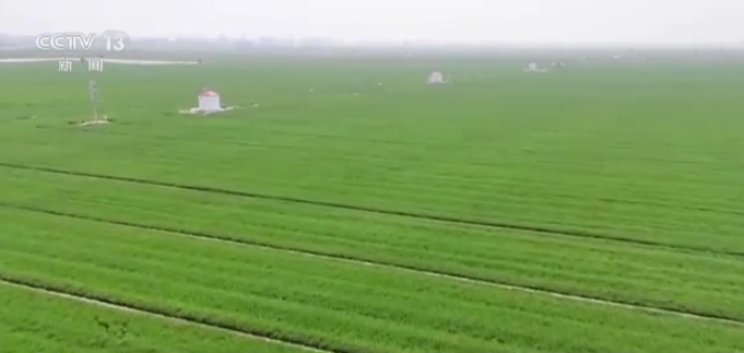 我国建成最大农业气象观测网 气象数据融入农业生产各环节
