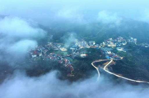 茶山有个“张老六”