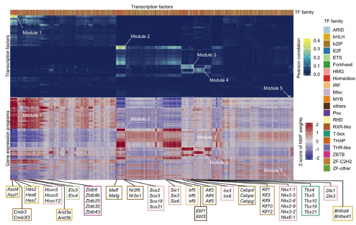我国科学家找到一个潜在的阿尔茨海默病“干预开关”