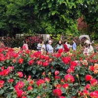 手机报·早报丨电商AB货骗局：城市发好货，农村发烂货；安徽马鞍山通报学生研学餐后不适事件