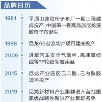 平顶山尼龙：破“芯片”困局 育千亿产业（河南超有品 第十个“中国品牌日”）