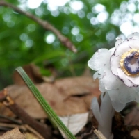 手机报·早报丨养“龙虾”还没搞明白，AI养“马”时代又来了；河南印发建设农业强省十年规划