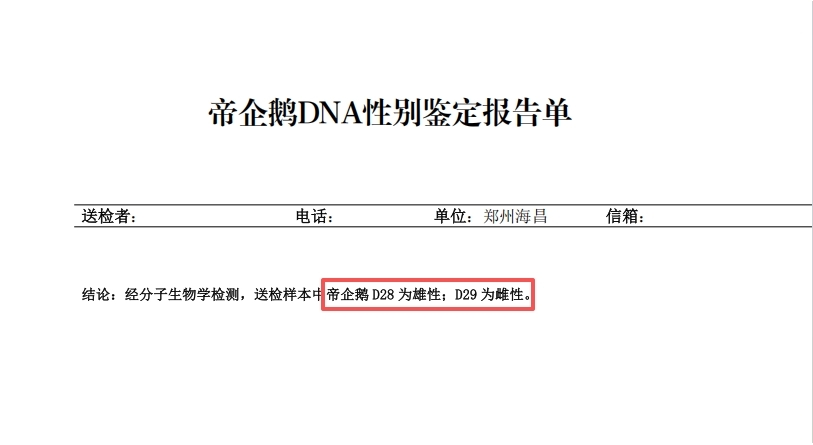 图片9.jpg