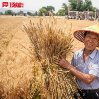 手机报·早报丨多家银行下架中长期定期存款；郑州中招网上志愿填报今日启动
