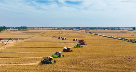 1780996073109.png image.png