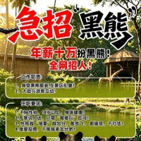 手机报·早报丨微信支付“AI专属卡”最快本周上线；警方通报“女子醉驾致2名环卫工死亡”