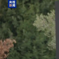 苹果称因芯片成本增加上调部分产品售价
