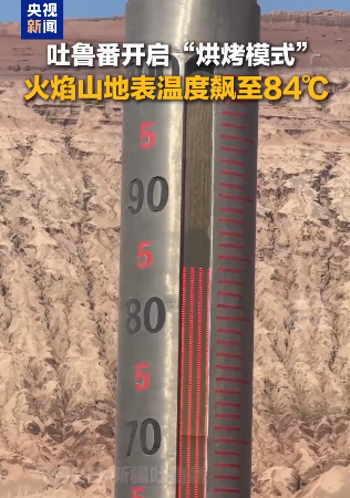 1783033051543.png 888.png