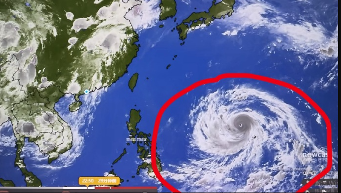 台风.png