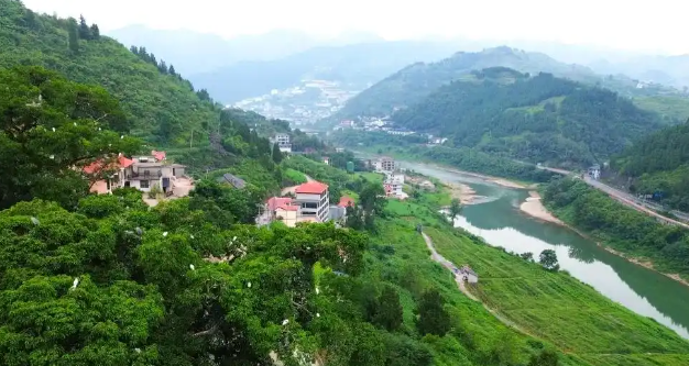 两部门发布排污标准保护赤水河