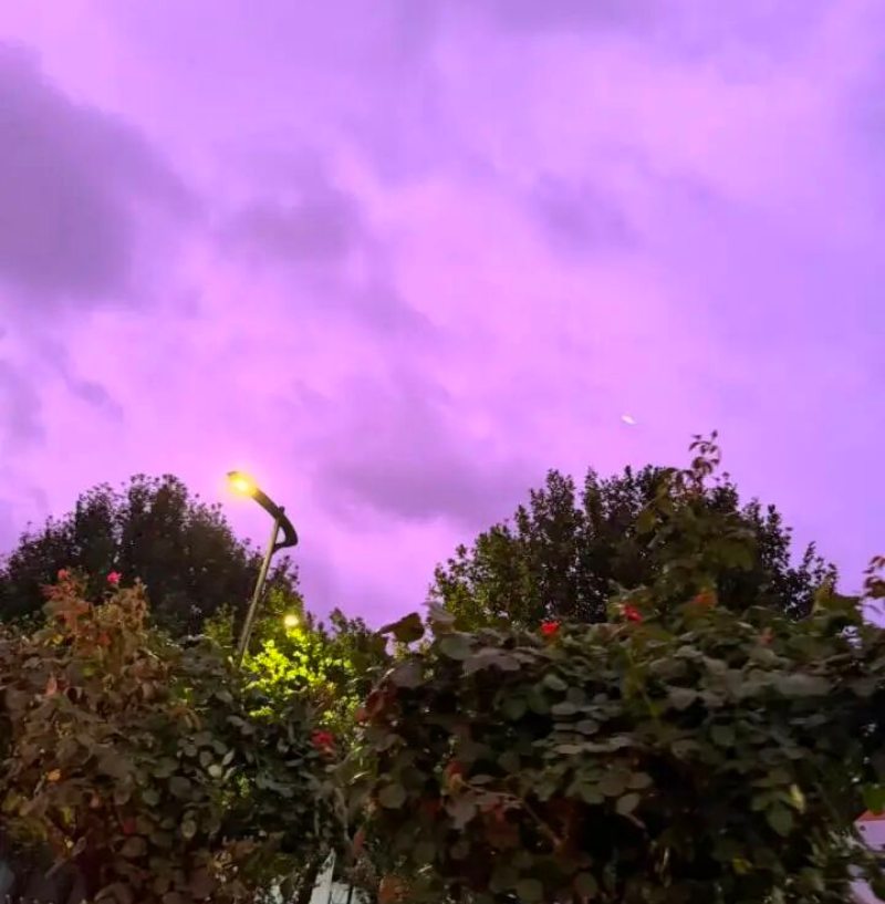 111.jpg