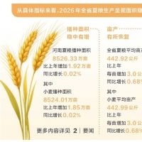 增量全国第一 2026年河南夏粮总产量755.29亿斤