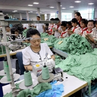 手机报·晚报丨暑假研学游，如何避“坑”“只游不学”；河南高招迎来“重头戏”，普通本科批明日正式投档