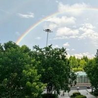 手机报·早报丨全国首个！广东顺德成立具身智能发展局；中雨大雨暴雨，河南这波雨将下到月底