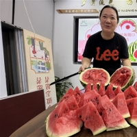 全国接力！ 30多万亩周口西瓜“甜蜜突围”（河力顶瓜瓜）