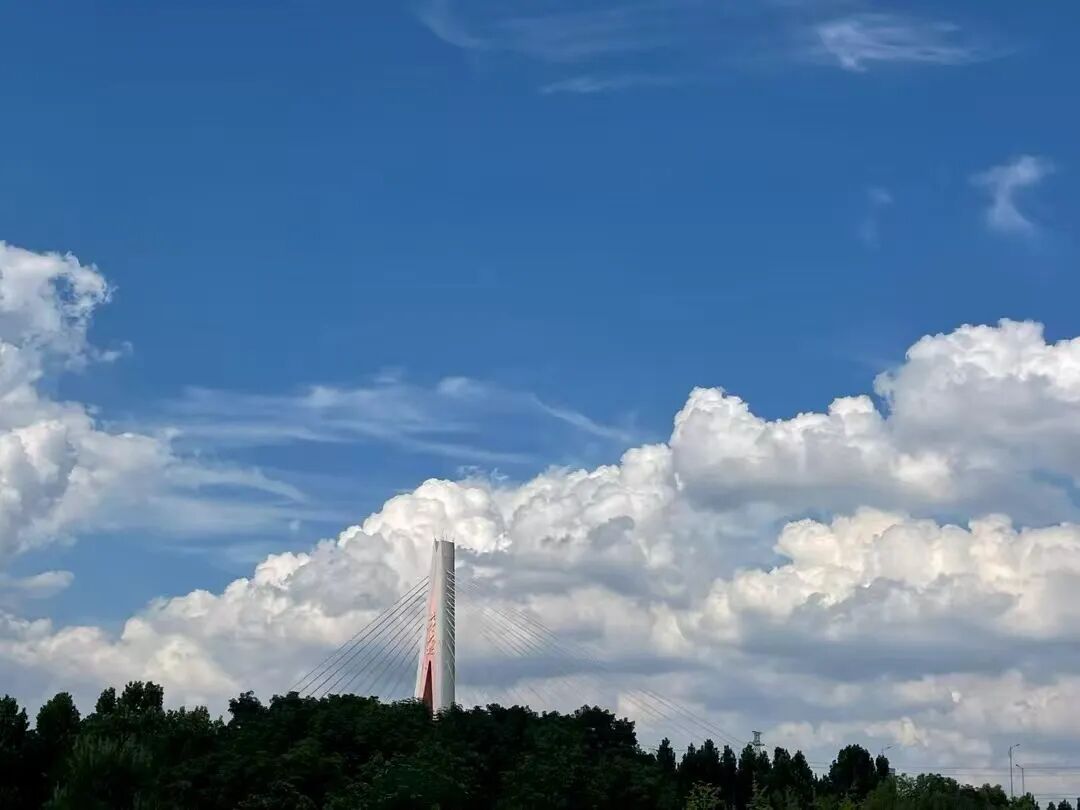 1785798087618.jpg 22.jpg