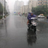 手机报·晚报丨明日，河南北中部强降水仍然持续；郑州调整住房公积金缴存基数
