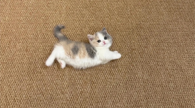 \