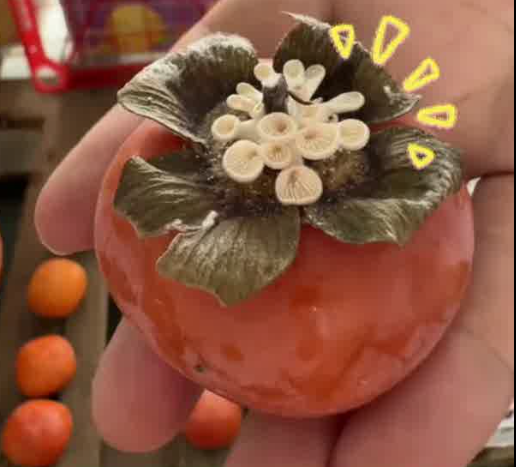 1787644887163.png 柿子.png