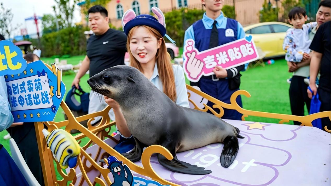 1789454446348.jpg 图片5.jpg