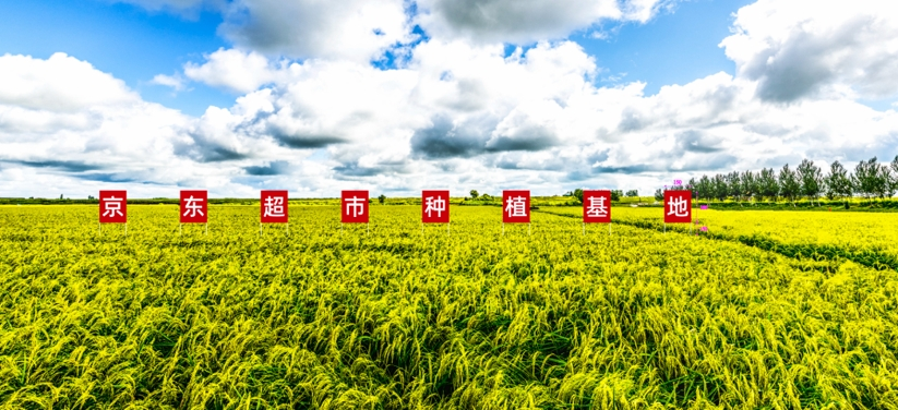 1789706253798.png 图片 3.png